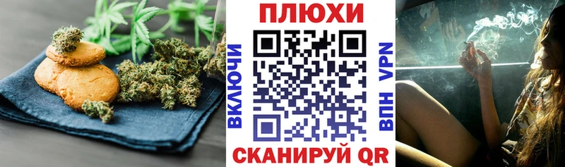Купить где  Балтийск  Canna-Cookies конопля 