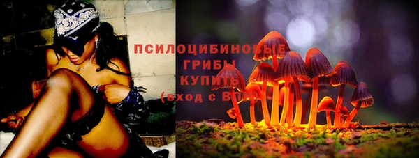 сатива Балабаново