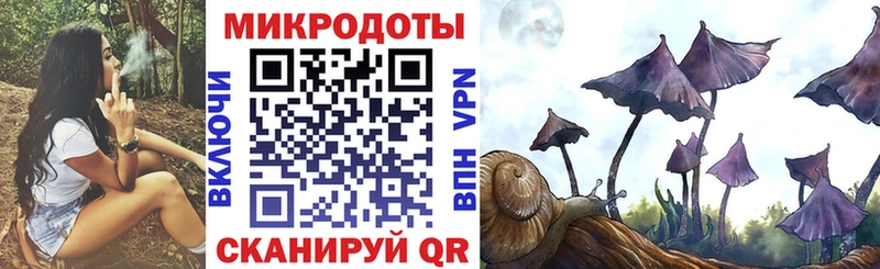 Купить закладки Балтийск Псилоцибиновые грибы Psilocybe